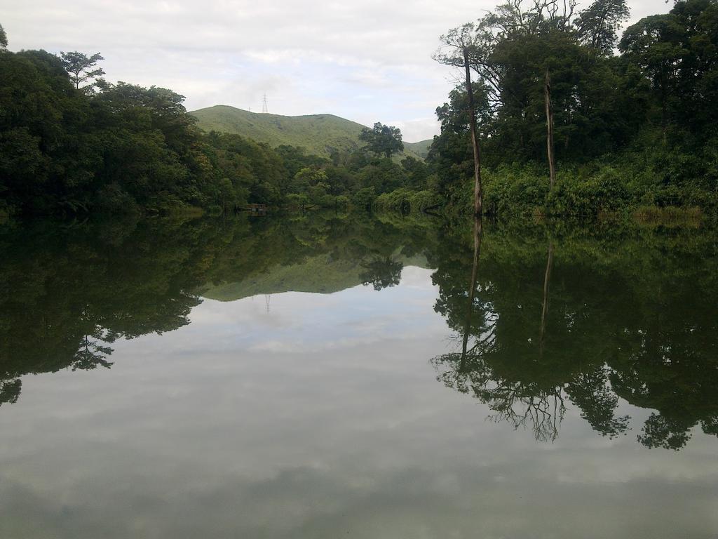 Periyar Woods Bed & Breakfast Thekkady Luaran gambar