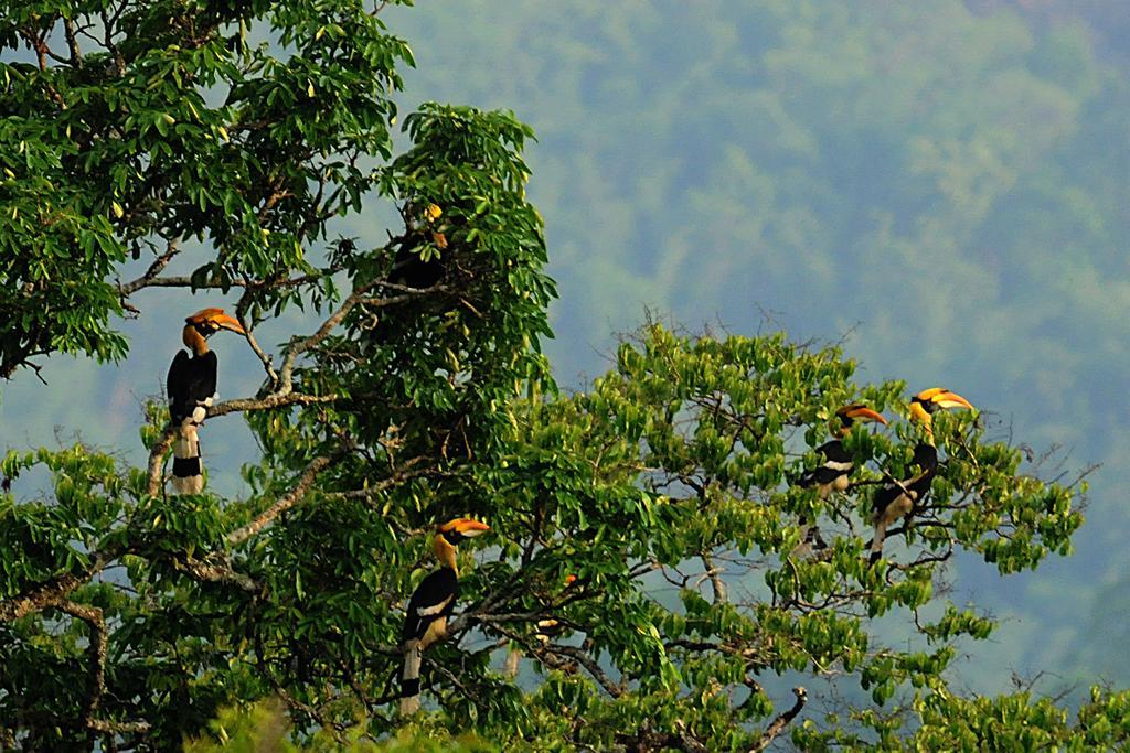 Periyar Woods Bed & Breakfast Thekkady Luaran gambar