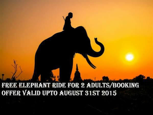 Periyar Woods Bed & Breakfast Thekkady Luaran gambar