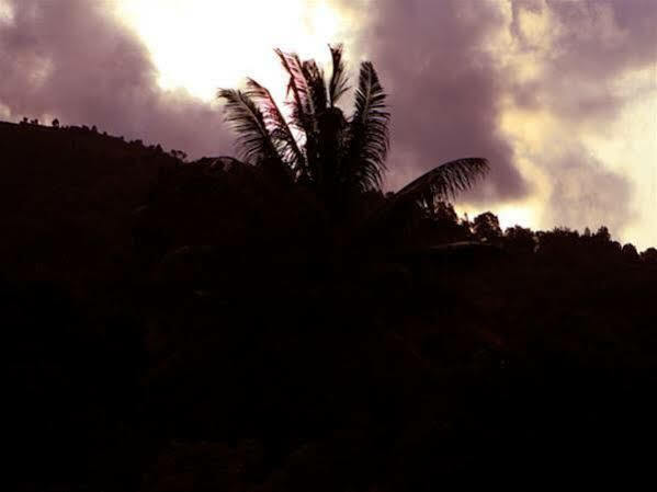 Periyar Woods Bed & Breakfast Thekkady Luaran gambar